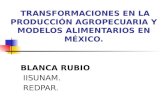 TRANSFORMACIONES EN LA PRODUCCIÓN AGROPECUARIA Y MODELOS ALIMENTARIOS EN MÉXICO. BLANCA RUBIO IISUNAM. REDPAR.