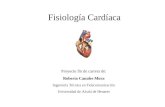 Fisiología Cardíaca Proyecto fin de carrera de: Roberto Canales Mora Ingeniería Técnica en Telecomunicación Universidad de Alcalá de Henares.