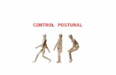 CONTROL POSTURAL. El mantenimiento de la postura es necesario para tener una base estable sobre la que puedan realizarse los movimientos.