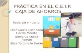 Reciclaje y huerto Pilar García-Escribano García-Morato Sonia González Román Elisa Tortoriello Durán PRÁCTICA EN EL C.E.I.P. CAJA DE AHORROS.