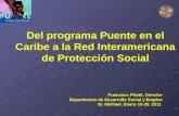 DeI programa Puente en el Caribe a la Red Interamericana de Protección Social Francisco Pilotti, Director Departmento de Desarrollo Social y Empleo St.