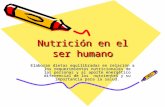 Nutrición en el ser humano Elaboran dietas equilibradas en relación a los requerimientos nutricionales de las personas y al aporte energético diferencial.