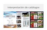 Interpretación de catálogos. La vaca ideal de hoy debe equilibrar producción, reproducción, salud y longevidad, para poder ofrecer una contribución total.