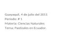 Guayaquil, 4 de julio del 2011 Período: # 1 Materia: Ciencias Naturales Tema: Pastizales en Ecuador.