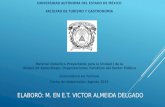 ELABORÓ: M. EN E.T. VICTOR ALMEIDA DELGADO UNIVERSIDAD AUTÓNOMA DEL ESTADO DE MÉXICO FACULTAD DE TURISMO Y GASTRONOMÍA Material Didáctico Proyectable para.