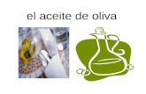 El aceite de oliva. el agua mineral aguado(a) las bebidas.
