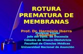 ROTURA PREMATURA DE MEMBRANAS Prof. Dr. Herminio Ibarra Caballero Profesor Titular Jefe del Dpto. de Docencia Cátedra de Gineco-Obstetricia Facultad de.