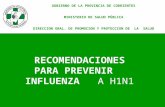 RECOMENDACIONES PARA PREVENIR INFLUENZA A H1N1 GOBIERNO DE LA PROVINCIA DE CORRIENTES MINISTERIO DE SALUD PÚBLICA DIRECCION GRAL. DE PROMOCION Y PROTECCION.