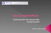 Caracas, Marzo 2009. Contenido 1.En los países desarrollados hay Cooperativas 2.En Venezuela, también hay Cooperativas 3.La Cooperativa es una empresa.