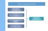Cultura Organizacional Estructura Organizacional Políticas y prácticas de RRHH Diseño de Trabajo Desarrollo Organizacional NIVEL ORGANIZACIONAL.