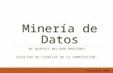 Minería de Datos MC BEATRIZ BELTRÁN MARTÍNEZ FACULTAD DE CIENCIAS DE LA COMPUTACIÓN. Primavera 2016.