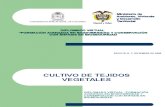 Cultivo de Tejidos Vegetales.ppt