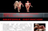 Anatomía Humana - Generalidades