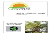 GroAfrica Moringa Presentation - Zambia