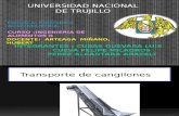 Cuevacubas Perez Alcantara Transporte de Materiales 1[1]