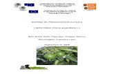 Sistema de Produccion SISTEMA DE PRODUCCIÓN ECOLÓGICA LIMÓN PERSA (Citrus aurantifolia L.)agroecologica Del Limon