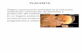 Clase de Femenino y Placenta