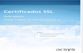 Guia Basica Certificado SSL