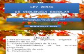 Ley 20536 Violencia Escolar Diplomado (3)