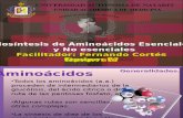 Expo Aminoacidos