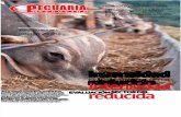 PECUARIA Y NEGOCIOS - AÑO 12 - NUMERO 137 - DICIEMBRE 2015 - PARAGUAY - PORTALGUARANI