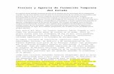 Proceso y Agencia de Formación Temprana del Estado ,Flannery 1999 (Traduccion)