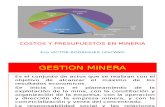 Gestion Financiera en Mineria-c1 (2)