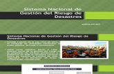 Sistema Nacional de Gestión Del Riesgo (1)