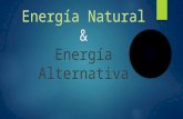 Energía Natural y Alternativa