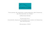 Informe Encuesta de Opinión Comisión de Pensiones en Chile