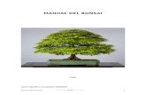 Bonsai Manual Completo
