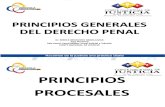 Presentacion Principios Generale Derecho