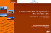 Catastro Proyectos 2014 SOFOFA