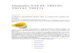 Kk_Manuales SAP PI 2
