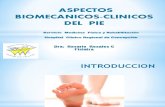 Biomecanica Del Pie
