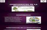 Componentes de La Biodiversidad (1)