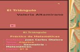 El Triángulo Valeria Altamirano