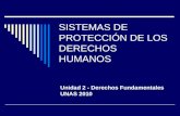 Sistema de Protección de Los Derechos Humanos