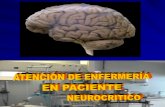 4.- Atencion Paciente Neurocritico
