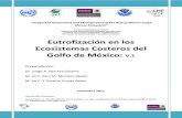 Eutrofizacion eEutrofizacion en Ecosistemas costeros GoM JHerreran Ecosistemas Costeros GoM JHerrera