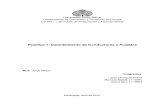 Practica 1 Calentamiento de Conductores y Fusible.pdf