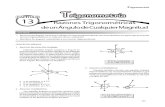 Trigonometria 4to (13 - 17) Correccion