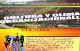 Cultura y Clima Lalboral . 09