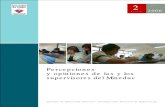 MINEDUC 2006 - Percepciones y Opiniones de Las y Los Supervisores Del Mineduc
