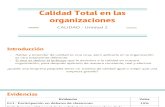 U2 Calidad en las organizaciones.pdf