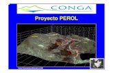 Geologia Del Deposito Perol
