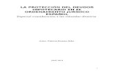 LA PROTECCIÓN DEL DEUDOR HIPOTECARIO EN EL ORDENAMIENTO JURÍDICO ESPAÑOL: Especial consideración a las cláusulas abusivas