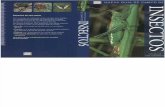 Nueva Guia de Campo de Insectos (Europa) (Bellmann H - Omega)