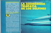 Teelpatia, Asombrosa La de Los Delfines R-007 Nº002 - Año Cero - Vicufo2