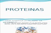 2.1 y 2.2.-Proteínas y Aminoacidos